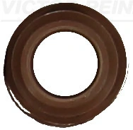 Seal Ring, valve stem